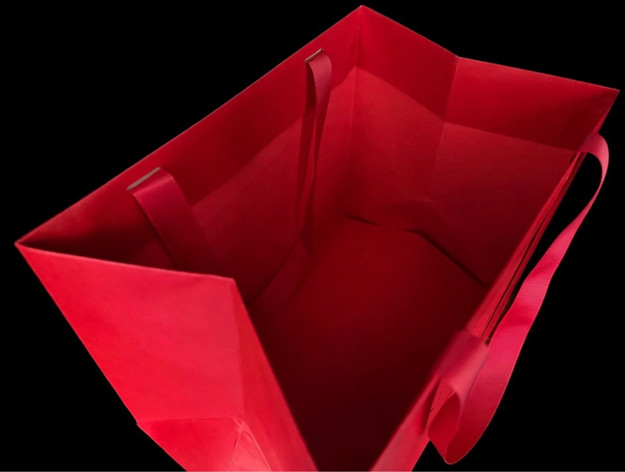 Kerastase Paper Bag